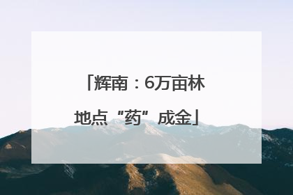辉南：6万亩林地点“药”成金